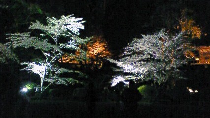 f0116278_19575977.jpg