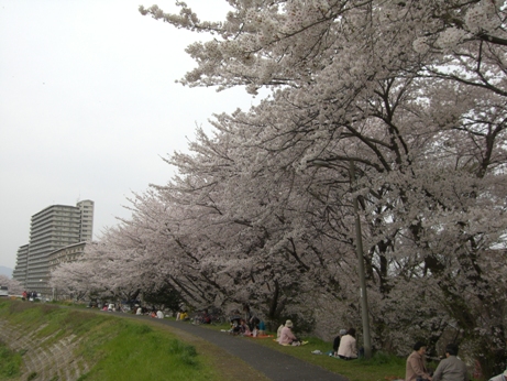f0116278_20102718.jpg