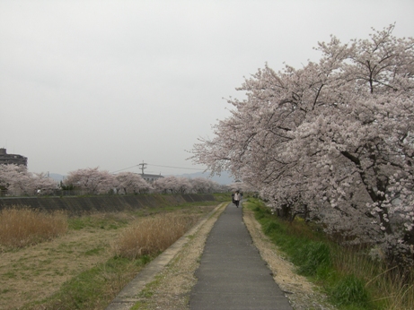 f0116278_2010524.jpg