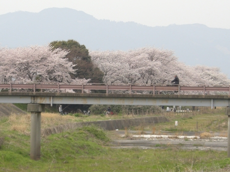 f0116278_2011031.jpg