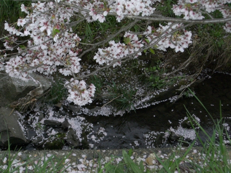 f0116278_20201160.jpg