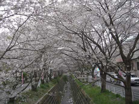 f0116278_2021458.jpg