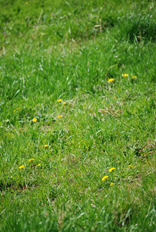 a0062983_10595314.jpg