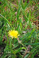 a0062983_1102717.jpg