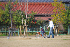 a0062983_1155724.jpg