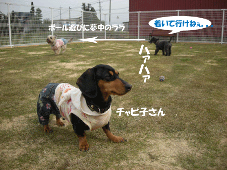 e0066883_2147239.gif