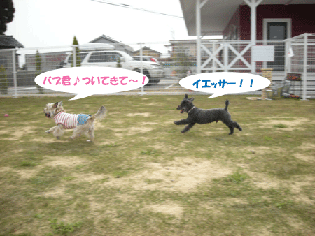 e0066883_2147771.gif