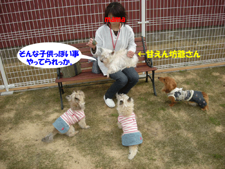 e0066883_21485629.gif