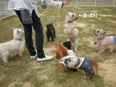 e0066883_21501811.gif