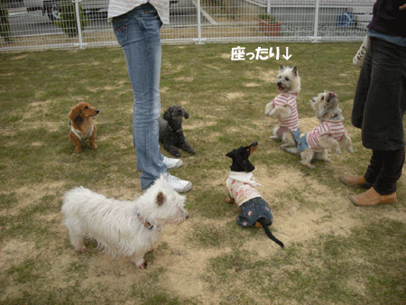 e0066883_21503452.gif