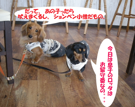 e0066883_22141654.gif