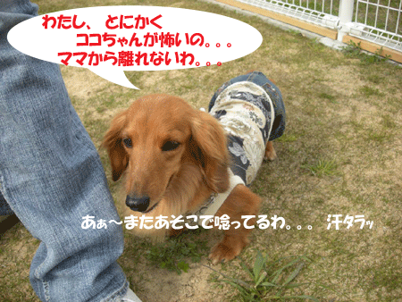 e0066883_2265640.gif