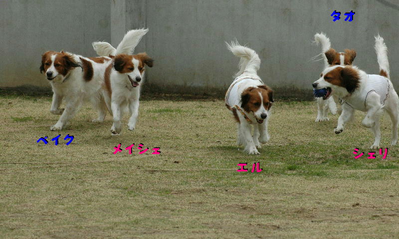c0075585_2353543.jpg