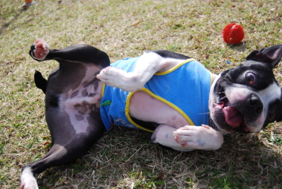 c0092787_1005032.jpg
