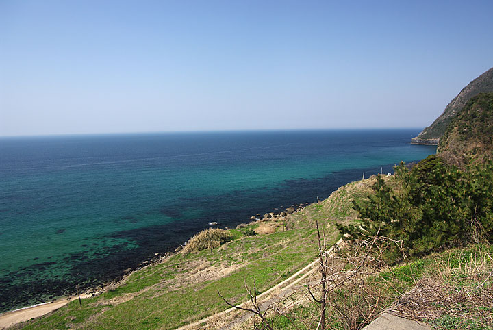 d0069495_23485638.jpg