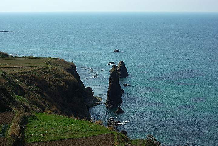 d0069495_23491031.jpg