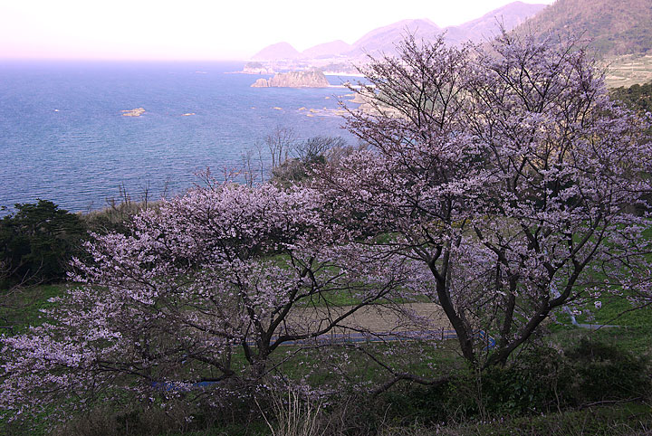 d0069495_23492398.jpg