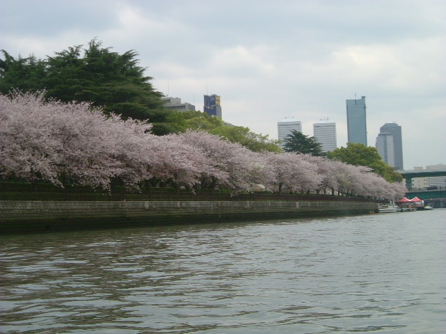 b0044296_22273622.jpg
