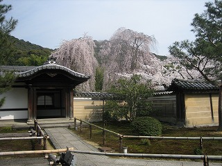 c0077697_18485764.jpg