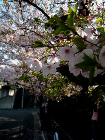 c0129498_14215461.jpg