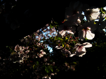 c0129498_1423994.jpg