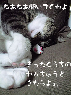 c0035001_14281174.jpg