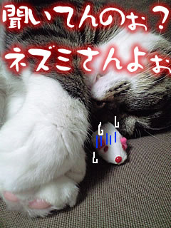 c0035001_14301475.jpg