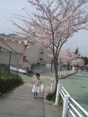 c0128402_971920.jpg