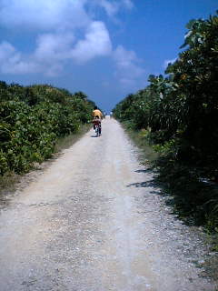 f0154002_1242571.jpg