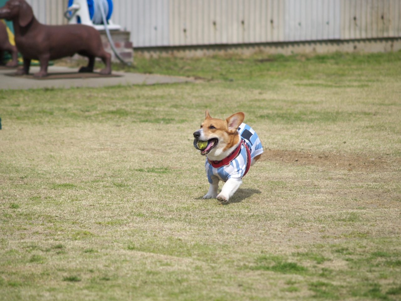 a0024004_16244075.jpg