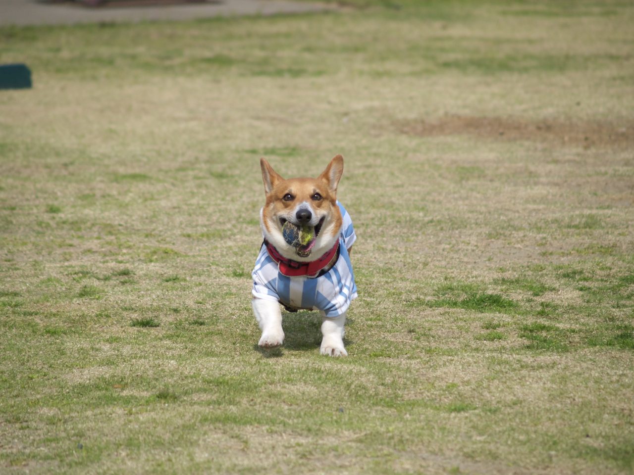 a0024004_16254756.jpg