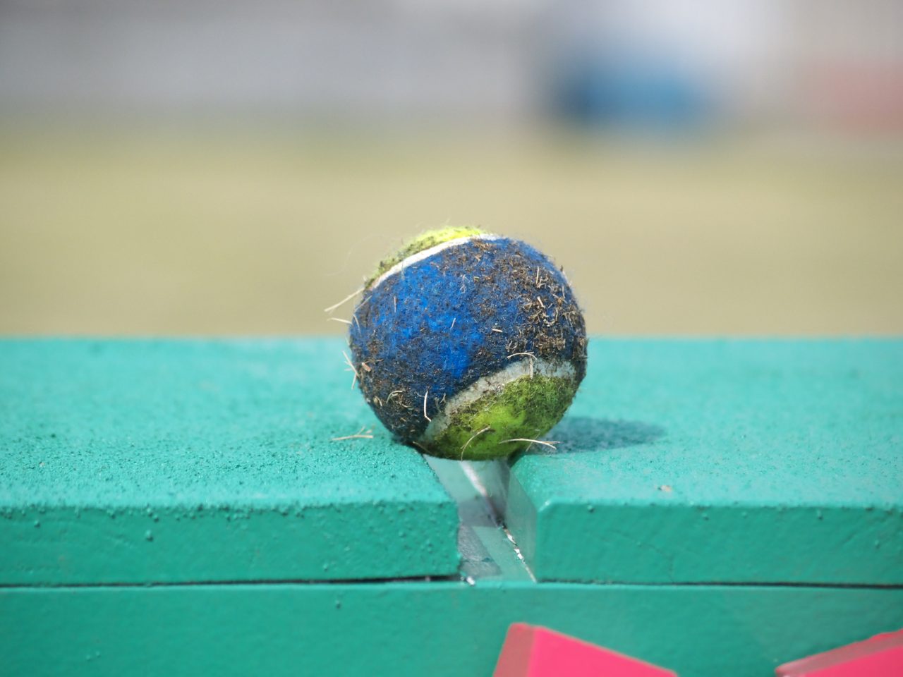 a0024004_16261925.jpg