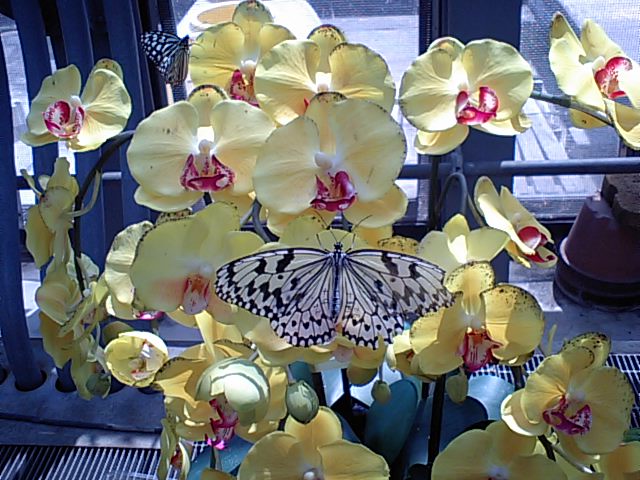 e0146907_17362353.jpg