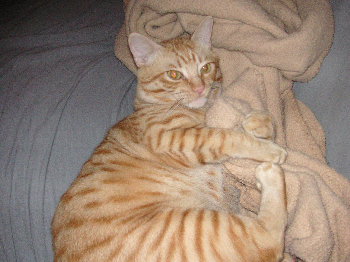 e0115312_1245122.jpg