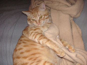 e0115312_1251782.jpg