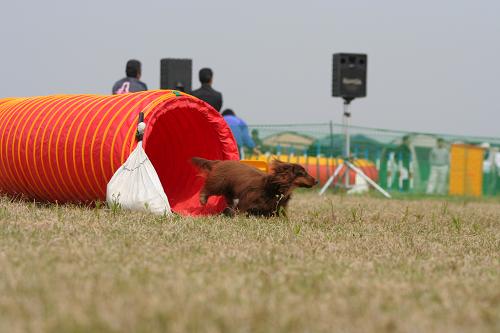 c0123115_1858577.jpg
