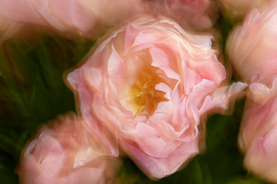 f0056516_0463891.jpg