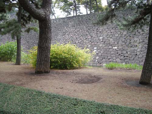 d0080118_2145145.jpg