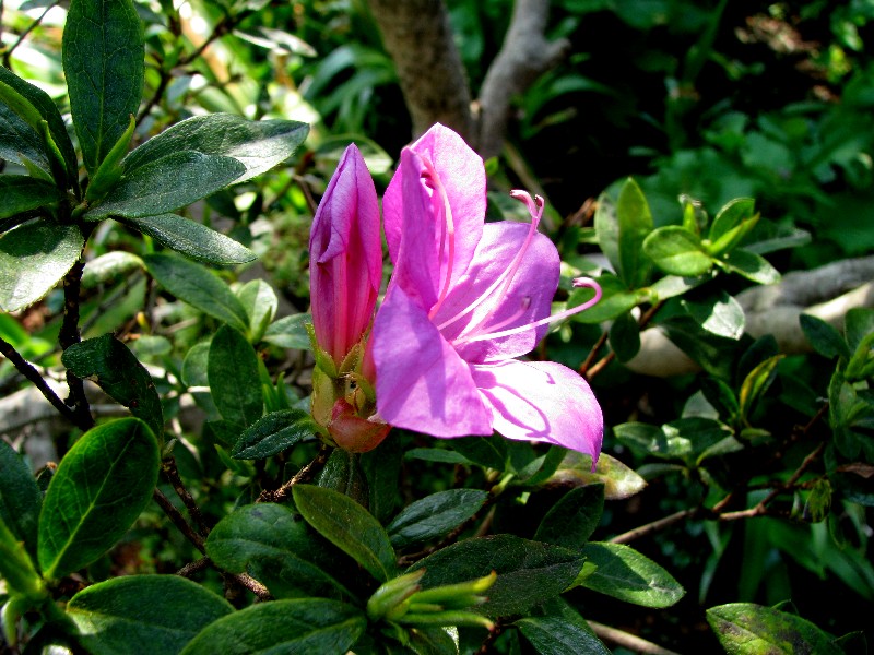 a0004023_12554994.jpg