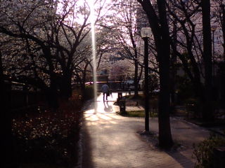 c0107826_23432734.jpg