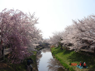 d0151227_14521396.jpg