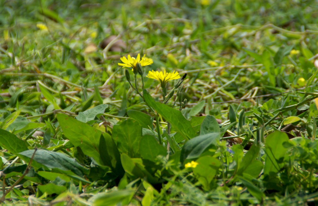 d0053930_645954.jpg