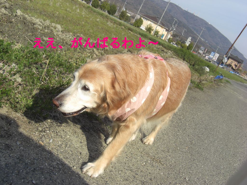 e0142430_2145492.jpg