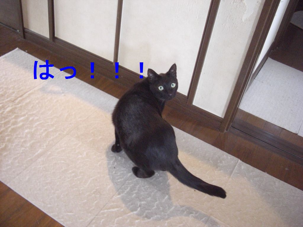 e0142430_2154292.jpg