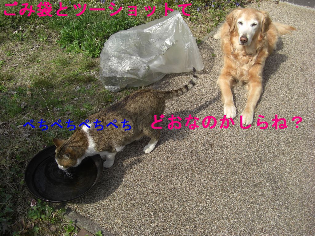 e0142430_23251714.jpg