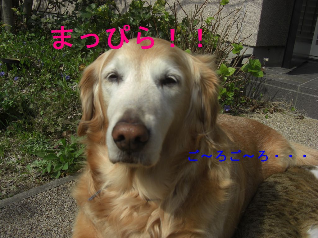 e0142430_23285465.jpg