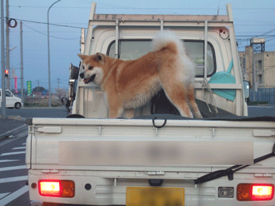 f0008935_1302847.gif