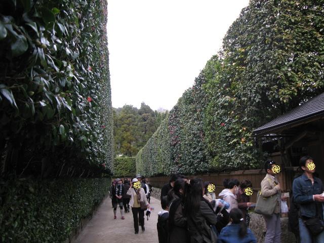 b0130636_2012488.jpg