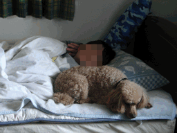 c0136736_201284.gif
