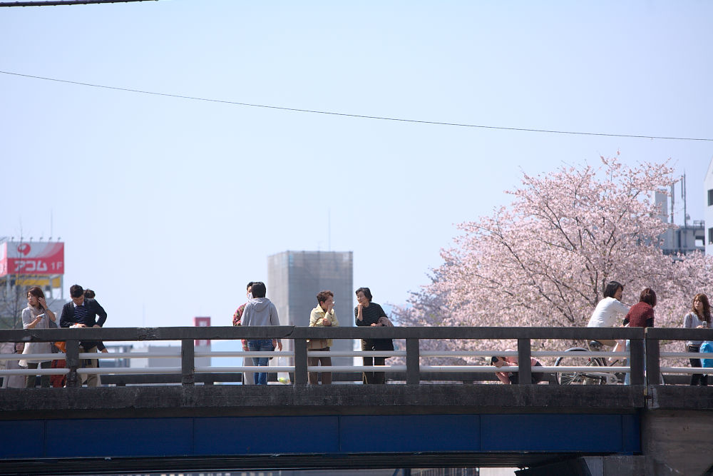 a0078341_23495090.jpg